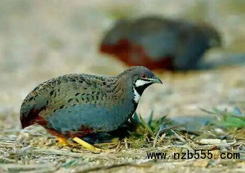 微信截圖_20210315194649