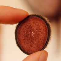 東北特產(chǎn) 鹿場批發(fā)新鮮鹿茸片煲湯滋補(bǔ)紅粉片干鹿茸切片一件代發(fā)