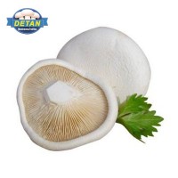 DETAN德添新鮮白靈菇 新鮮 購(gòu)買(mǎi)請(qǐng)電話聯(lián)系，否則不發(fā)貨