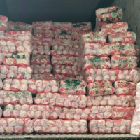 日銷40000斤娃娃菜，求貨源