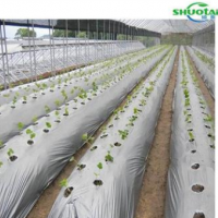 江西農(nóng)膜生產(chǎn)廠家銀黑反光地膜加厚耐老化地膜定做果樹(shù)地膜批發(fā)