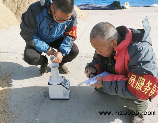 圖為黨員&ldquo;巡糧護糧組&rdquo;正在測量糧食水分