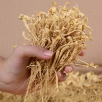 長(zhǎng)白山人參 生曬參白參 人參香皂專(zhuān)用火鍋小人參 底料煲湯干參