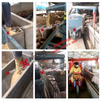 湖南自動(dòng)化養(yǎng)豬設(shè)備 電動(dòng)喂料車 養(yǎng)豬場(chǎng)喂料機(jī) 興達(dá)牧機(jī)