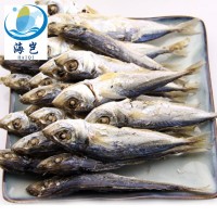 東山島海產魚干 淡于吧浪魚干 適合休閑食品KTV零食烹飪廠家批發(fā)