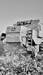 耕耘不輟， 闊步邁向農(nóng)業(yè)強(qiáng)國