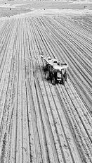 耕耘不輟， 闊步邁向農(nóng)業(yè)強(qiáng)國