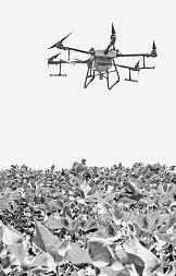 耕耘不輟， 闊步邁向農(nóng)業(yè)強(qiáng)國