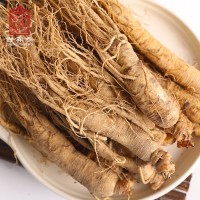 東北特產 帶土鮮人參 長白山人參 現(xiàn)挖現(xiàn)賣森工國企 廠家批發(fā)鮮參