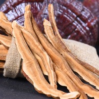 紫靈芝 靈芝 東北特產靈芝 免費切片【一件代發(fā)】