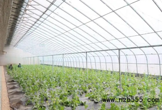 微信截圖_20250331164551