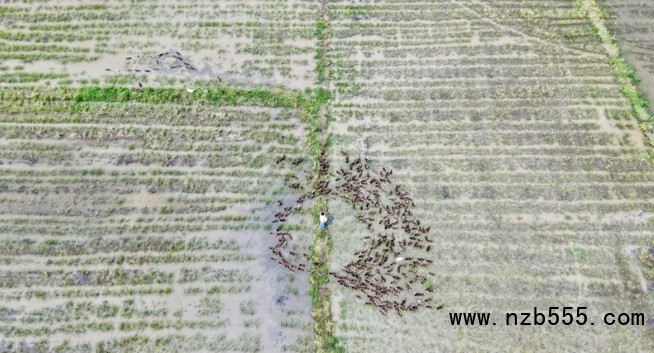 微信截圖_20250417163750