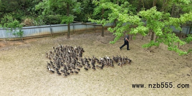 微信截圖_20250417163819