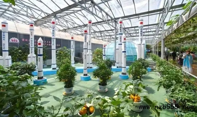 微信截圖_20250427170455