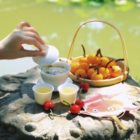 以茶會友聚知己西安品茶工作室慢品外賣悟人生滿室暖心田