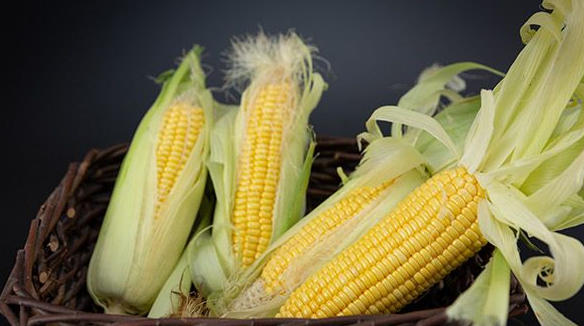 ScreenShot_2026-02-25_162231_038