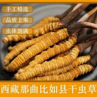 那曲冬蟲夏草干貨足干蟲草全規格散裝批發無斷草產地直供滋補品