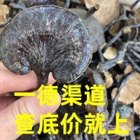 大量 特大竹靈芝滋補品煲湯泡酒中藥材 一斤￥180