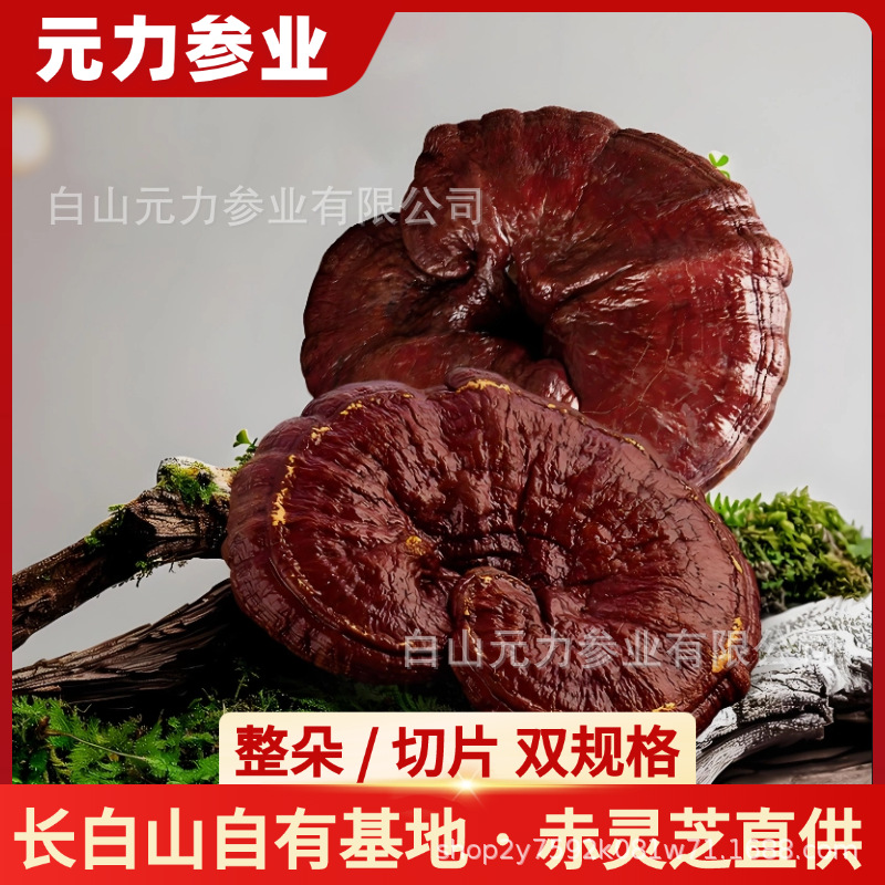 O1CN01xgXVss2LrGluuEBM6_!!2220075779745-0-cib