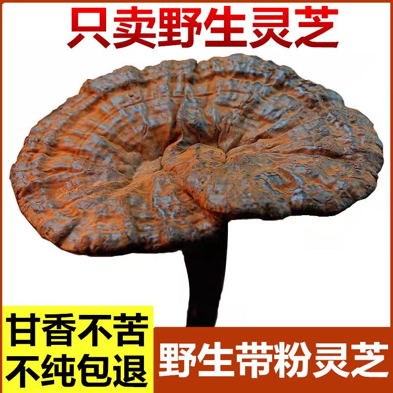 O1CN01Z91K2p29Fv4hxZf5i_!!2220157278039-0-cib