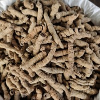 巴戟天批發中藥材巴戟肉各種規格產地大貨供應