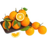 臍橙 新鮮橙子5斤水果當季水果手剝橙子高山果甜橙大果臍橙整箱