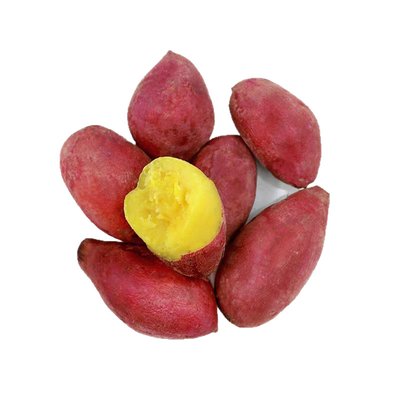 O1CN0121dHX81frX6rsoLeY_!!6000000004060-0-cib