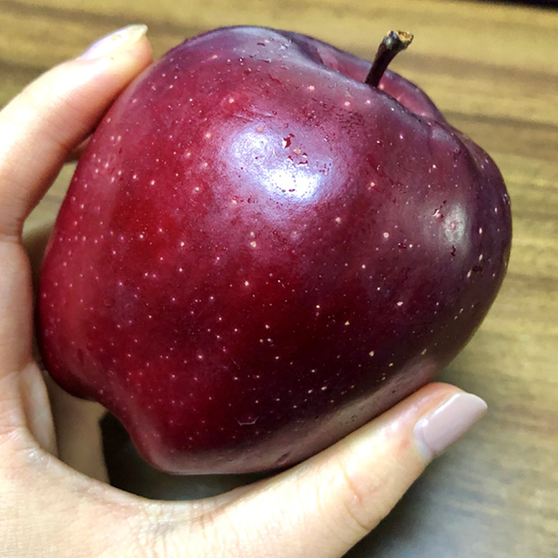 O1CN01ioLjA61mlIjRhW9P7_!!2201228224994-0-cib