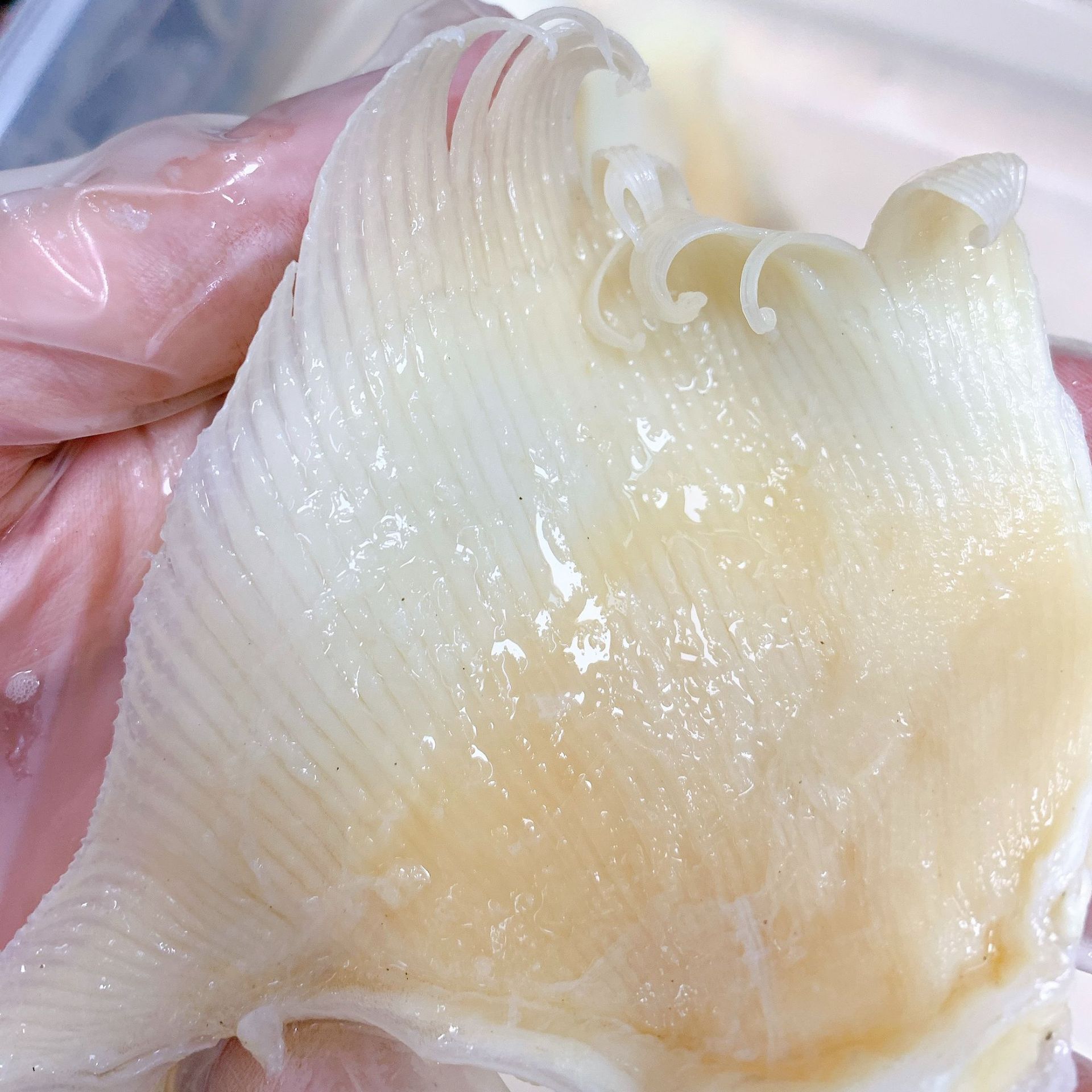 O1CN01uCNKV91UdMjE4OX5F_!!2208487032540-0-cib