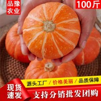 批發金貝貝南瓜正宗板栗口感老南瓜寶寶輔食一件代發紅貝貝小南瓜