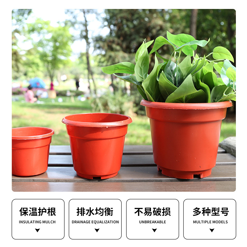 O1CN01uIi1Sd1mKHK2iDujw_!!947654935-0-cib